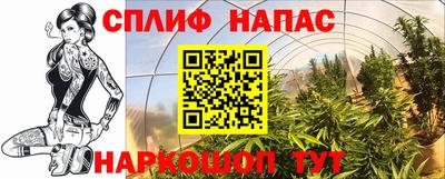 гидра Обь